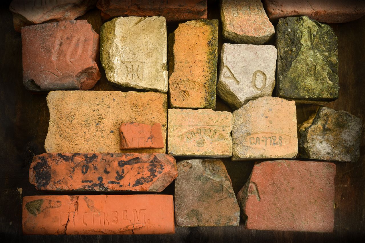 my_picked_bricks_collection.jpg